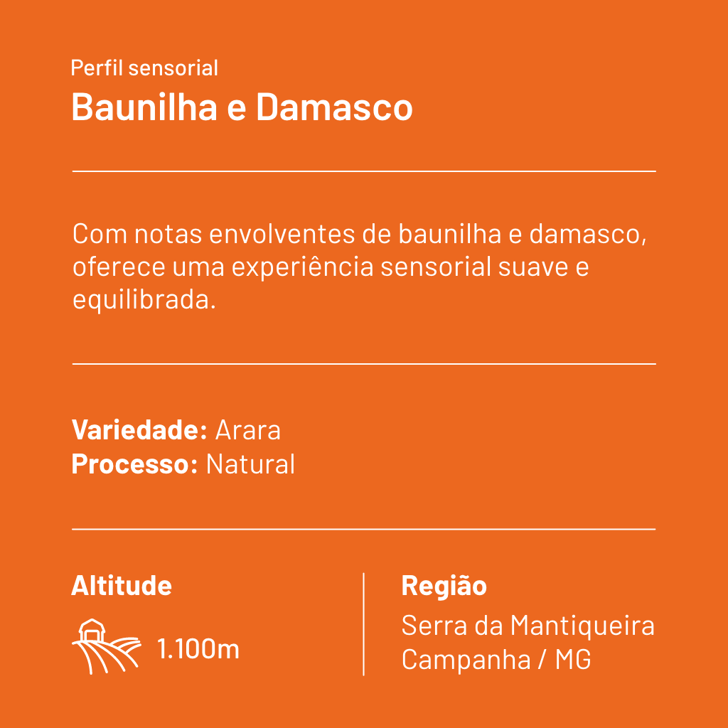 CAFÉ ESPECIAL CRIA FEELING BAUNILHA E DAMASCO