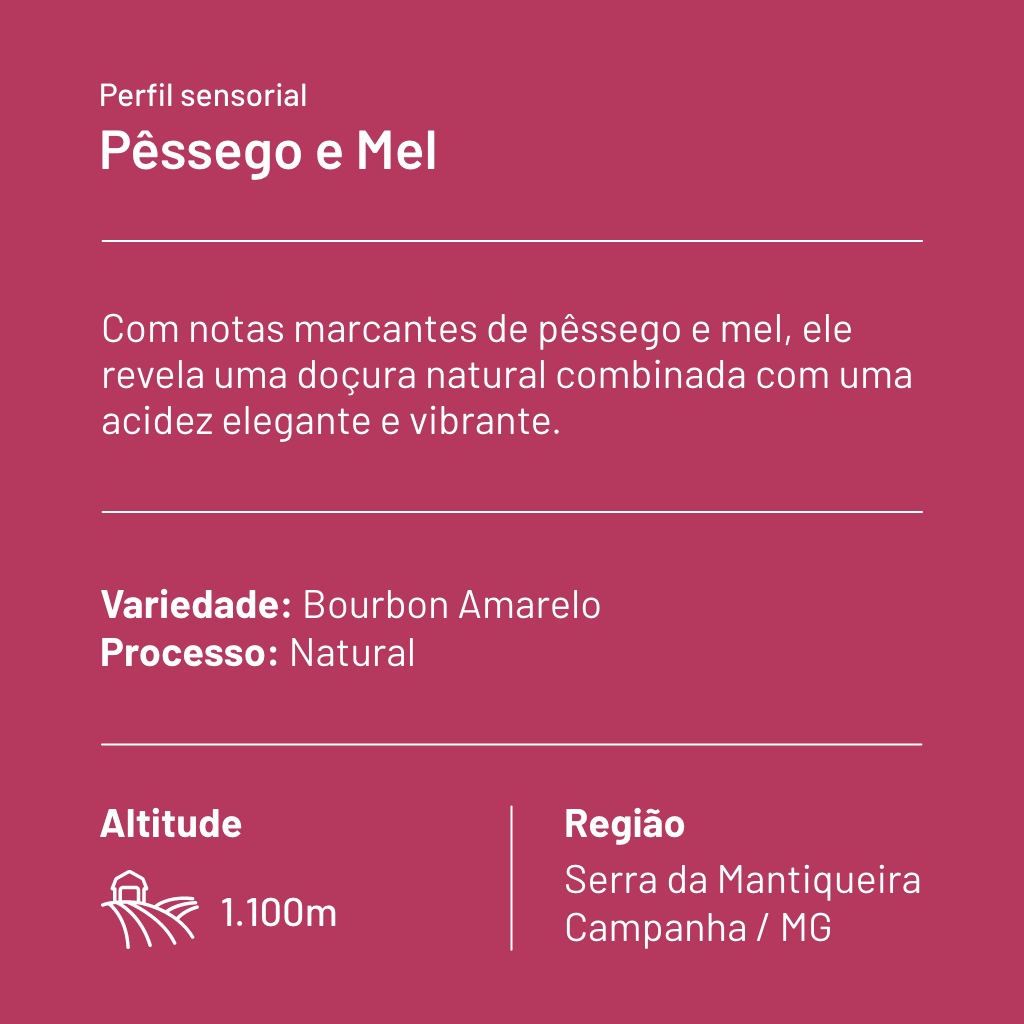 CAFÉ ESPECIAL CRIA IMPULSO PÊSSEGO E MEL