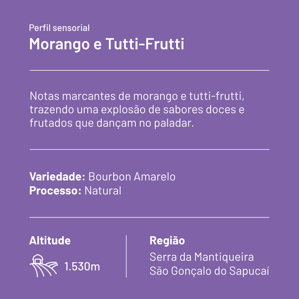 CAFÉ ESPECIAL CRIA INSIGHT MORANGO E TUTTI-FRUTTI