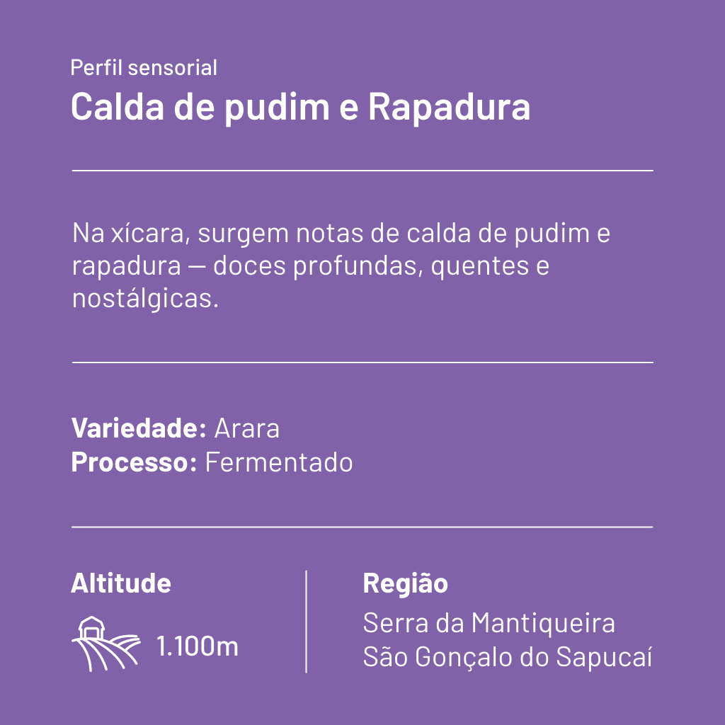 CAFÉ ESPECIAL CRIA INSIGHT PUDIM E RAPADURA