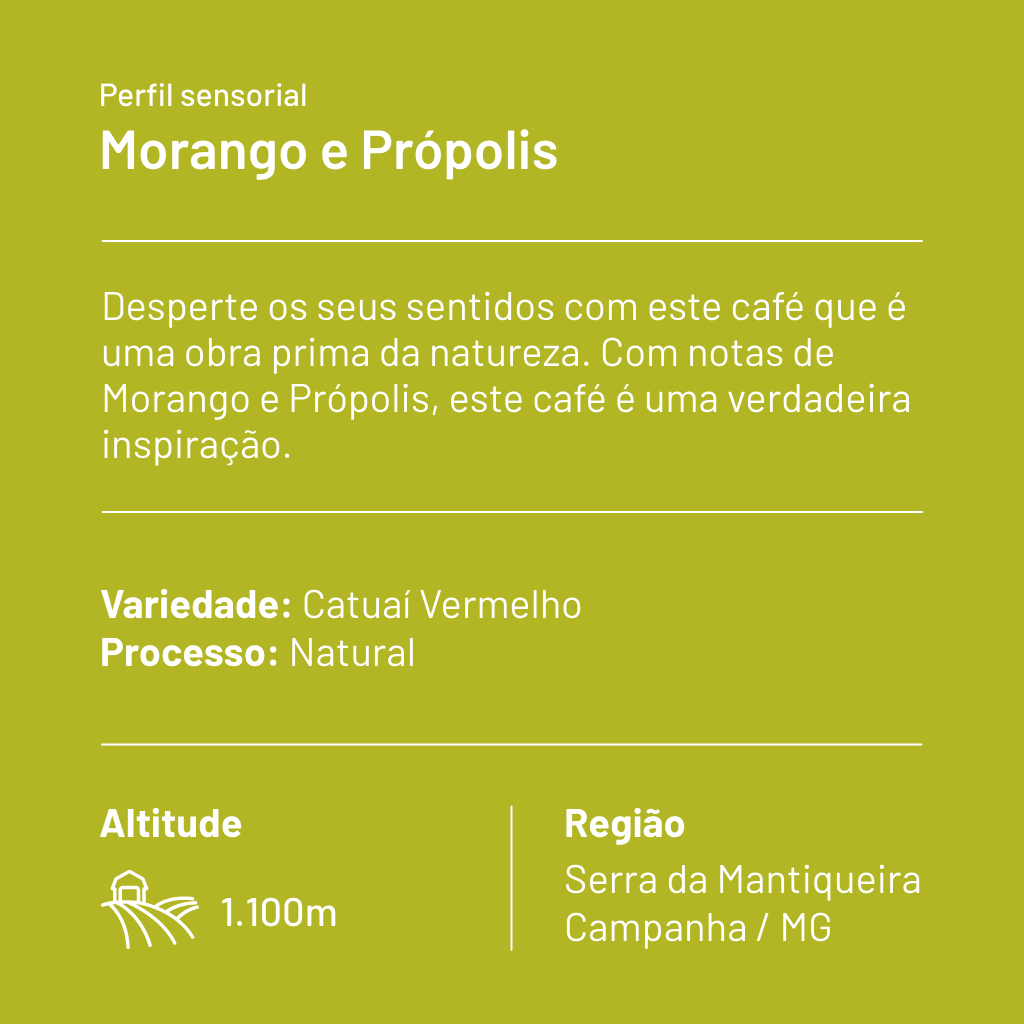 CAFÉ ESPECIAL CRIA INSPIRA MORANGO E PRÓPOLIS